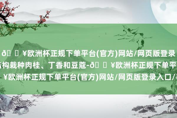 🔥欧洲杯正规下单平台(官方)网站/网页版登录入口/手机版转变农业结构栽种肉桂、丁香和豆蔻-🔥欧洲杯正规下单平台(官方)网站/网页版登录入口/手机版