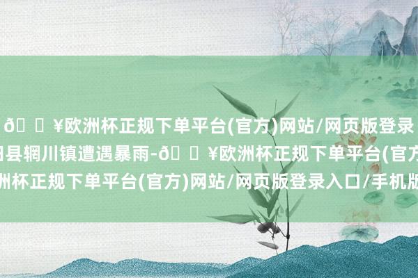 🔥欧洲杯正规下单平台(官方)网站/网页版登录入口/手机版西安市蓝田县辋川镇遭遇暴雨-🔥欧洲杯正规下单平台(官方)网站/网页版登录入口/手机版