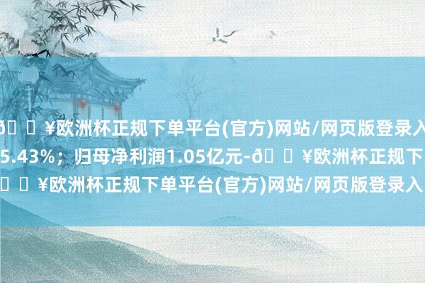 🔥欧洲杯正规下单平台(官方)网站/网页版登录入口/手机版同比上升35.43%；归母净利润1.05亿元-🔥欧洲杯正规下单平台(官方)网站/网页版登录入口/手机版