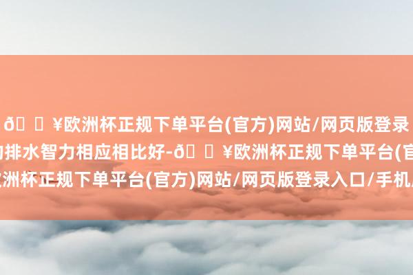 🔥欧洲杯正规下单平台(官方)网站/网页版登录入口/手机版这些路段的排水智力相应相比好-🔥欧洲杯正规下单平台(官方)网站/网页版登录入口/手机版